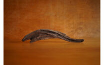 【相良パーティ】屋久島の流木【小サイズ】