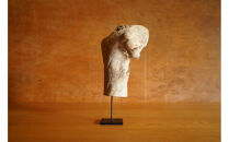 【相良パーティ】屋久島の流木【小サイズ】