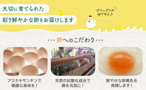 卵&nbsp;生卵&nbsp;おおえだファーム&nbsp;アスタキサンチン卵（白卵）Lサイズ&nbsp;30個入り｜アスタキサンチン卵&nbsp;30個&nbsp;美肌&nbsp;抗酸化&nbsp;宮城県角田市育ち&nbsp;生卵&nbsp;たまご&nbsp;玉子&nbsp;たまごかけ&nbsp;TKG