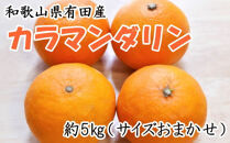 【春みかん】和歌山有田産 カラマンダリン 約5kg サイズおまかせ ★2026年４月より順次発送 ［TM209］