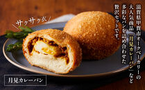 オークベーカリー カレーパン & 揚げパン 7種類 14個セット