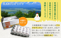 おおえだファーム&nbsp;アスタキサンチン卵（白卵）Lサイズ&nbsp;50個入り