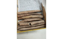 981.【訳あり】砂丘ながいも　1kg《検索用ワード:長芋・とりたて・とろろ・ねばり・山芋》