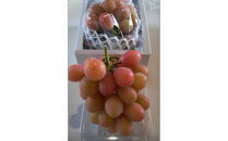 964.北条砂丘地産ぶどう&nbsp;クインニーナ&nbsp;2房&nbsp;1kg以上&nbsp;果物&nbsp;くだもの&nbsp;葡萄&nbsp;ぶどう