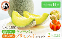 【先行予約】956.【ふるさと納税】青肉メロンディーバと赤肉メロンプリモレッドのセット&nbsp;※日本全国配送可能&nbsp;&nbsp;2026年10月上旬頃～11月上旬頃に順次発送予定【先行予約&nbsp;メロン&nbsp;果物&nbsp;くだもの&nbsp;フルーツ&nbsp;旬&nbsp;甘い&nbsp;鳥取県&nbsp;鳥取&nbsp;北栄町&nbsp;おすすめ&nbsp;人気】