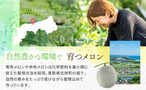 【先行予約】956.【ふるさと納税】青肉メロンディーバと赤肉メロンプリモレッドのセット&nbsp;※日本全国配送可能&nbsp;&nbsp;2026年10月上旬頃～11月上旬頃に順次発送予定【先行予約&nbsp;メロン&nbsp;果物&nbsp;くだもの&nbsp;フルーツ&nbsp;旬&nbsp;甘い&nbsp;鳥取県&nbsp;鳥取&nbsp;北栄町&nbsp;おすすめ&nbsp;人気】