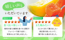 【先行予約】956.【ふるさと納税】青肉メロンディーバと赤肉メロンプリモレッドのセット&nbsp;※日本全国配送可能&nbsp;&nbsp;2026年10月上旬頃～11月上旬頃に順次発送予定【先行予約&nbsp;メロン&nbsp;果物&nbsp;くだもの&nbsp;フルーツ&nbsp;旬&nbsp;甘い&nbsp;鳥取県&nbsp;鳥取&nbsp;北栄町&nbsp;おすすめ&nbsp;人気】