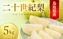数量限定&nbsp;鳥取県産梨&nbsp;二十世紀梨&nbsp;5kg（12～14玉）｜鳥取&nbsp;梨&nbsp;なし&nbsp;二十世紀梨&nbsp;期間限定&nbsp;送料無料&nbsp;鳥取県&nbsp;三朝町