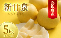 数量限定&nbsp;鳥取県産梨&nbsp;新甘泉（しんかんせん）5kg（8～12玉）｜鳥取&nbsp;梨&nbsp;なし&nbsp;新甘泉&nbsp;しんかんせん&nbsp;期間限定&nbsp;送料無料&nbsp;鳥取県&nbsp;三朝町