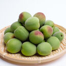 ＜6月発送＞&nbsp;厳選&nbsp;青梅&nbsp;2kg+60g（傷み補償分）和歌山産　梅干し&nbsp;梅酒&nbsp;梅ジュース