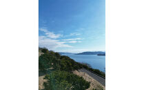 尾道柑橘&nbsp;バラエティーセット&nbsp;5kg