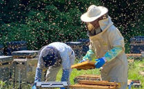 百花蜂蜜（約100g×2、約200g×1）&nbsp;nkmryoho001A