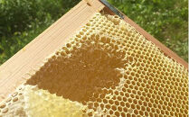 百花蜂蜜（約100g×2、約200g×1）&nbsp;nkmryoho001A