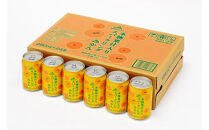 本物果汁入り　スパークリングみかん　280ml　24缶入り×1ケース□