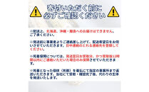（ペア）ヘラクレスオオカブト大型オス（140-150mm）&メス（サイズフリー）【配送不可：北海道・沖縄・離島（一部除く】