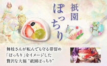 ＜定期便3回＞【仁々木】祇園ぽっちり9個入り×全3回 ［ 京都 祇園 スイーツブランド フルーツ大福 おしゃれ 可愛い 人気 おすすめ スイーツ お菓子 和菓子 フルーツ いちご あまおう ぶどう ブルーベリー 栗 ギフト プレゼント お取り寄せ 通販 送料無料 ふるさと納税 ］