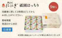 ＜定期便3回＞【仁々木】祇園ぽっちり9個入り×全3回 ［ 京都 祇園 スイーツブランド フルーツ大福 おしゃれ 可愛い 人気 おすすめ スイーツ お菓子 和菓子 フルーツ いちご あまおう ぶどう ブルーベリー 栗 ギフト プレゼント お取り寄せ 通販 送料無料 ふるさと納税 ］