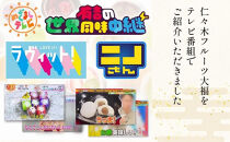 ＜定期便3回＞【仁々木】祇園ぽっちり9個入り×全3回 ［ 京都 祇園 スイーツブランド フルーツ大福 おしゃれ 可愛い 人気 おすすめ スイーツ お菓子 和菓子 フルーツ いちご あまおう ぶどう ブルーベリー 栗 ギフト プレゼント お取り寄せ 通販 送料無料 ふるさと納税 ］
