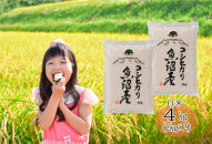 【令和７年産】南魚沼産コシヒカリ　白米４kg（２ｋｇ×２）【５割減農薬栽培米】城内農産