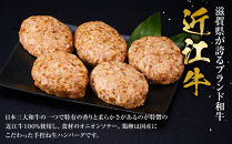 近江牛 生ハンバーグ 120g×5個入