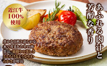 近江牛 生ハンバーグ 120g×5個入