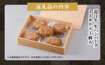 近江牛 生ハンバーグ 120g×5個入