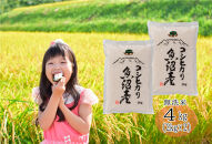 【令和７年産】南魚沼産コシヒカリ&nbsp;無洗米４kg（２ｋｇ×２）【５割減農薬栽培米】城内農産