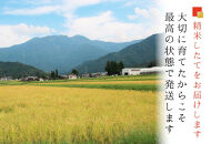 【令和７年産】南魚沼産コシヒカリ&nbsp;無洗米４kg（２ｋｇ×２）【５割減農薬栽培米】城内農産