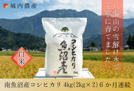 【令和８年産新米予約】城内農産【お米定期便/全６回】南魚沼産コシヒカリ　白米４kg（２ｋｇ×２）&nbsp;＜5割減農薬栽培米＞【定期便&nbsp;銘柄米&nbsp;ブランド米&nbsp;精米&nbsp;こしひかり&nbsp;コシヒカリ】【2026年9月下旬から1ヶ月以内に順次発送予定】