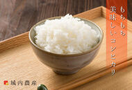 【令和７年産】城内農産【お米定期便/全１２回】南魚沼産コシヒカリ　白米４kg（２ｋｇ×２）＜5割減農薬栽培米＞