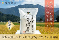 【令和７年産】城内農産【お米定期便/全１２回】南魚沼産コシヒカリ　無洗米４kg（２ｋｇ×２）＜5割減農薬栽培米＞