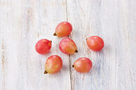 ぶどう&nbsp;2026年&nbsp;&nbsp;岡山市産&nbsp;クイーンニーナ&nbsp;粒（カップ）100g×12&nbsp;渡邊農園