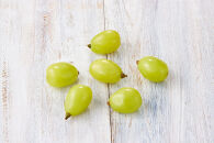 ぶどう&nbsp;2026年&nbsp;&nbsp;岡山市産&nbsp;シャインマスカット&nbsp;粒（カップ）100g×12&nbsp;&nbsp;渡邊農園