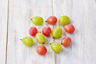 ぶどう&nbsp;2026年&nbsp;岡山市産&nbsp;クイーンニーナ&nbsp;粒・シャインマスカット&nbsp;粒（カップ）セット各100g×6&nbsp;&nbsp;渡邊農園