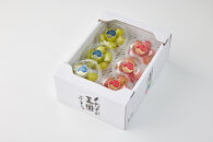 ぶどう&nbsp;2026年&nbsp;岡山市産&nbsp;クイーンニーナ&nbsp;粒・シャインマスカット&nbsp;粒（カップ）セット各100g×6&nbsp;&nbsp;渡邊農園