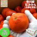 『2025年冬先行受付』香川オリジナル品種「紅みかん(小原紅早生)」大玉4kg