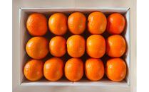 【相良パーティ】『ハローたんかん』屋久島産【Lサイズ3kg】