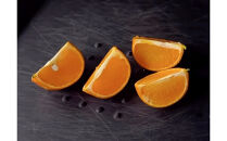 【相良パーティ】『ハローたんかん』屋久島産【Lサイズ3kg】