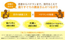 みかん&nbsp;極早生みかん&nbsp;訳あり&nbsp;5kg&nbsp;大小混合&nbsp;まごころ産直みかん【2025年10月上旬頃から2025年11月上旬頃まで順次発送予定】みかん&nbsp;極早生みかん&nbsp;温州みかん&nbsp;和歌山みかん&nbsp;下津みかん&nbsp;訳あり&nbsp;和歌山県産&nbsp;産地直送［Mg18］