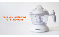 【相良パーティ】『ハローたんかん』屋久島産【M,Lサイズ10kg】