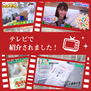 一級点心師耿玉清氏監修【大阪名物】大粒焼売30個［1５個入り×2セット］