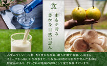 【全6回定期便】ゆふいん牛乳 900ml×3本／瓶入り（Grass fed Milk/低温殺菌）＜湯布院クックヒルファーム＞