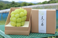 【2026年発送】びっくりサイズの大粒ぶどう&nbsp;岡山県産&nbsp;雄宝&nbsp;１房(約1.0kg)