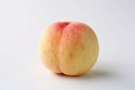 【2026年発送】岡山のブランドもも&nbsp;”晴れ未来”&nbsp;５～６玉（約1.3kg）