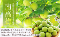 冷凍 紀州南高梅 青梅   約5kg   L～4Lサイズ混合 ご家庭用