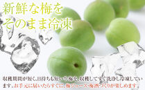 冷凍 紀州南高梅 青梅   約5kg   L～4Lサイズ混合 ご家庭用