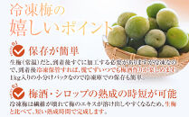 冷凍 紀州南高梅 青梅   約5kg   L～4Lサイズ混合 ご家庭用