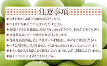 冷凍 紀州南高梅 青梅   約5kg   L～4Lサイズ混合 ご家庭用