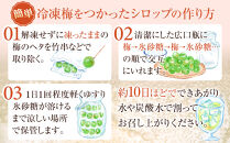 冷凍 紀州南高梅 青梅   約10kg   L～4Lサイズ混合 ご家庭用