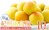 冷凍 紀州南高梅 完熟梅   約10kg   L～4Lサイズ混合 ご家庭用
